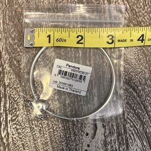 Pandora Silver Angel Wings